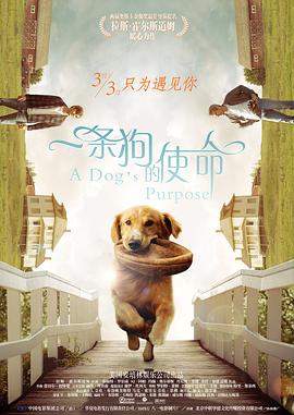 h310m主板支持的内存